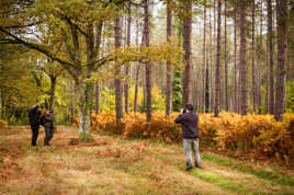 Capter les couleurs de l'automne