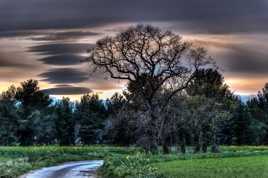 Cumulus lenticularis