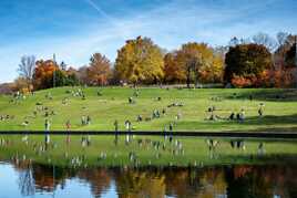 Lac aux Castors