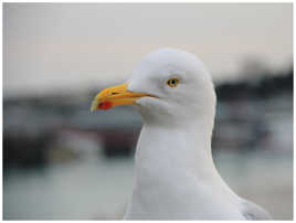 Touches de couleurs n°2