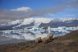 été en islande