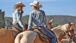 We are poor lonely cowgirls