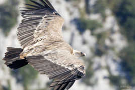 Il est passé si près....