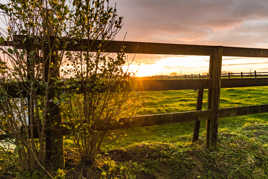 La prairie du bonheur