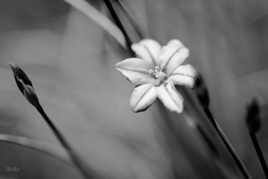 Le printemps est arrivé!