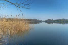 Au bord de l étang 2