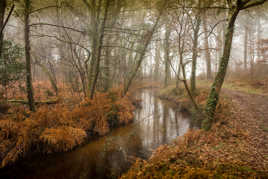 Le ruisseau en hiver