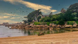 La plage de Tourany à Ploumanac'h