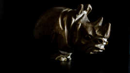 exercice clair obscur