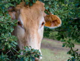 5906 joue à cache-cache