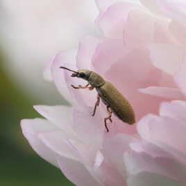 Allons voir ce qui se passe dehors...