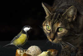 Les yeux dans les yeux