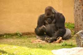 Cause toujours tu m’intéresses ...