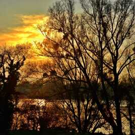 Coucher de soleil sur la Loire