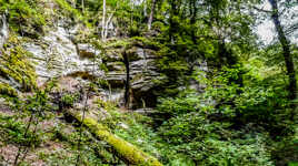 Une nature en équilibre ( fin de série )