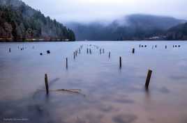 Au plus près de l'eau