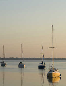 Une matinée paisible