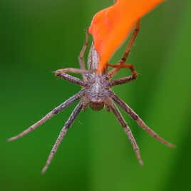 Un peu en retard sur Halloween...