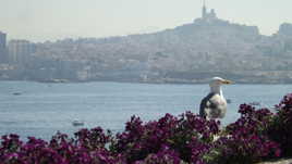 Marseille