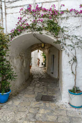 Ostuni, ruelle 11