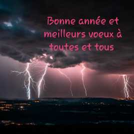 Bonne année