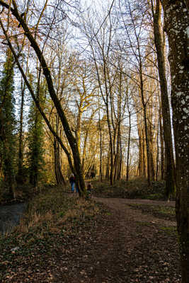 en suivant la Salmouille