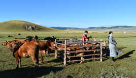 Nomadic people from Mongolia