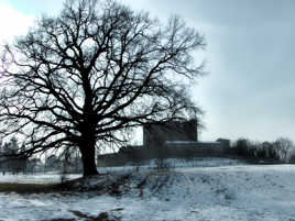 Nous vîmes de grandes batailles