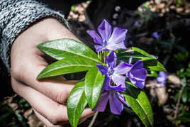 petit bouquet