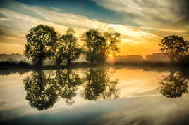 Les reflets de l'étang