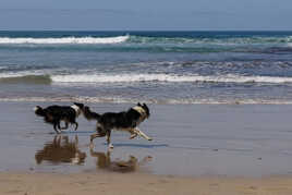 Ensemble sur la plage