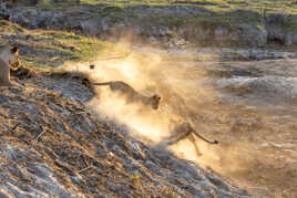 Maman nous surveille.