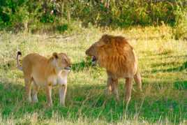 tais toi, j'ai raison