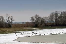 Rassemblement hivernal