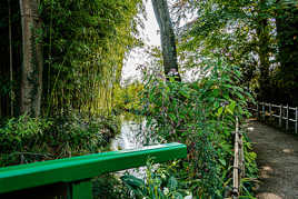 vers le bassin aux nymphéas jardin C. Monet