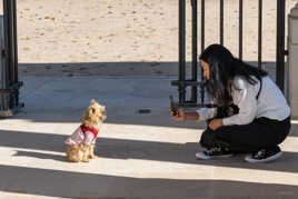 Shooting Puppy