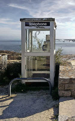 Espèce en voie d'extinction