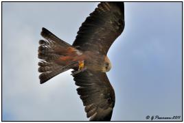 Coup d'oeil en passant...