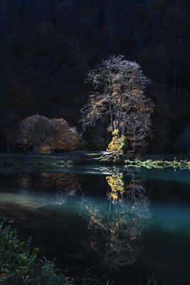 Magie de la lumière -