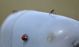 Passe ton chemin,ou.......