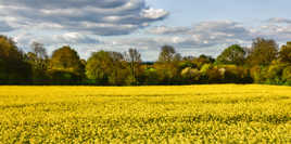 Le soleil est revenu...