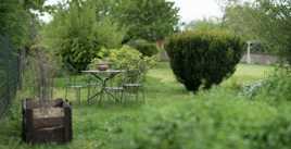 Un pti bout de jardin