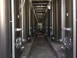 Tu deviendras Cognac, soit patient