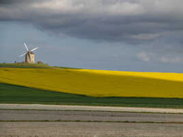 Les champs et le moulin