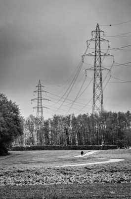 Haute tension (3) : le promeneur