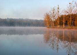 Lac de l'UBY au petit matin