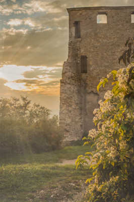 Contre jour à la tour