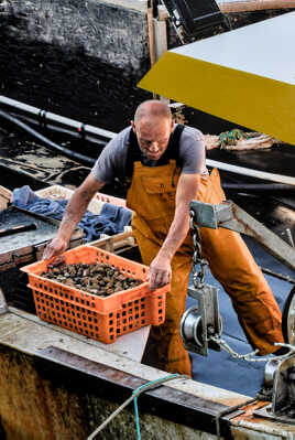 Les travailleurs de la mer