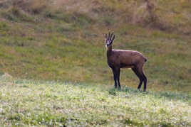 Rencontre inattendue !