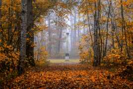 Colonne d'automne